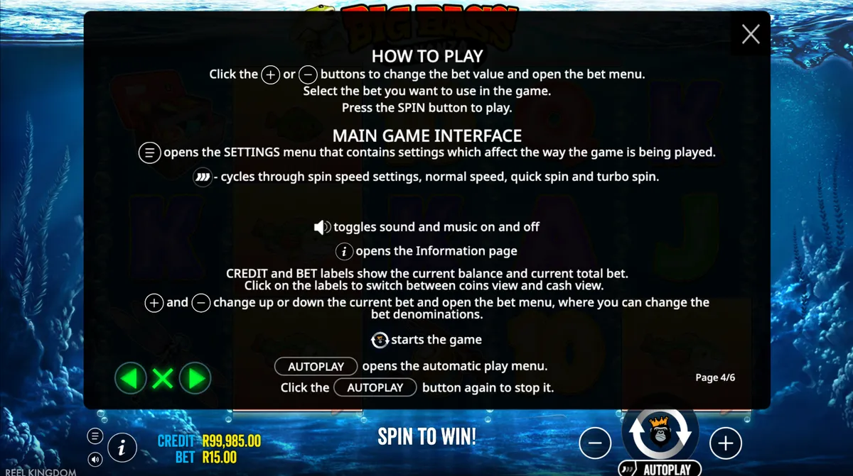 Big Bass Bonanza multiplier feature