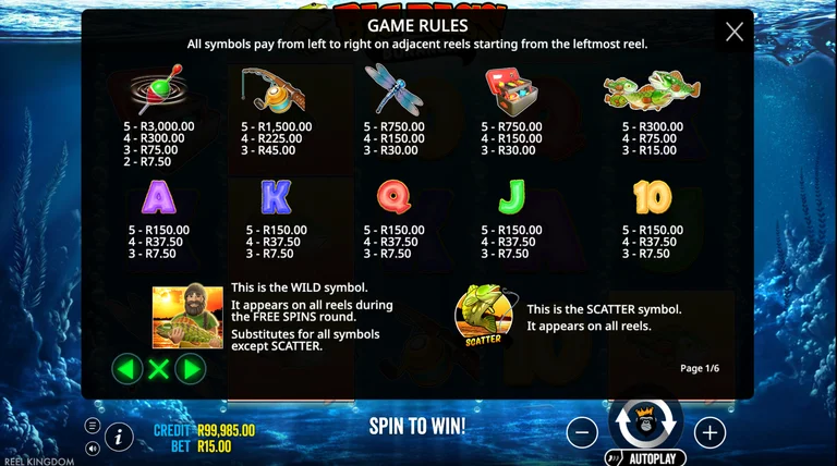 Big Bass Bonanza gameplay screenshot