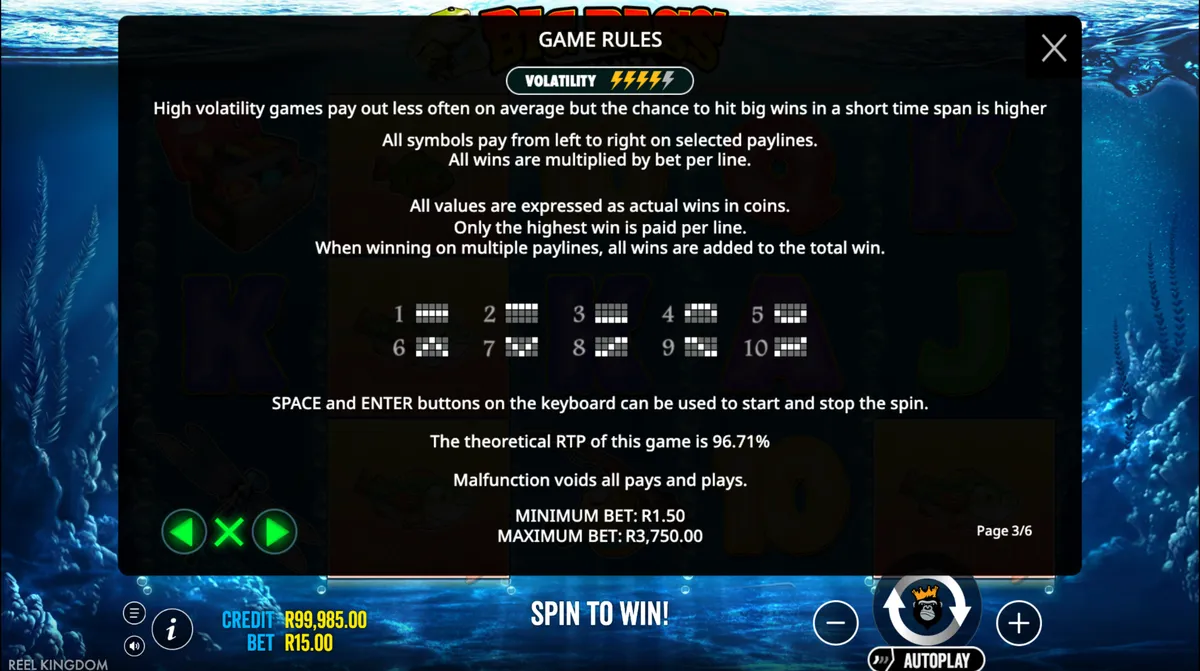 Big Bass Bonanza demo gameplay in South Africa